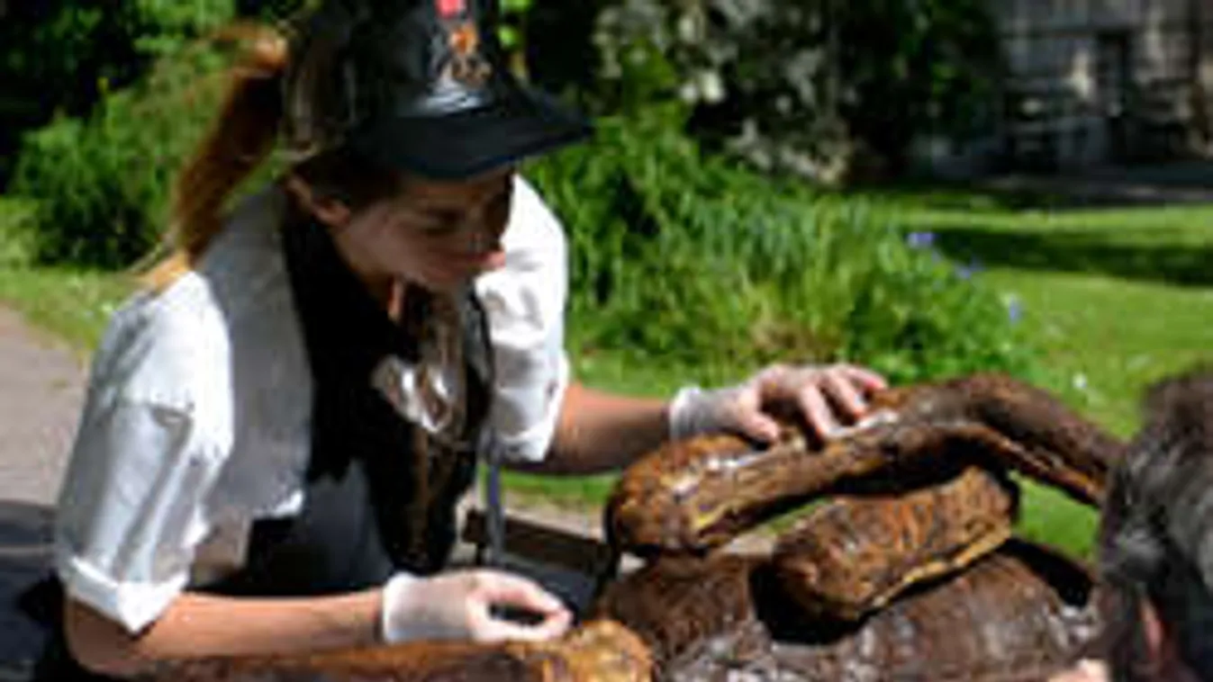 Bizarr: Nyárson sütötték meg a földönkívülit