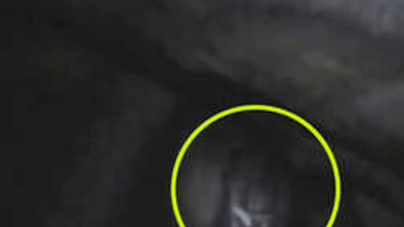 Titokzatos barlangi lényre bukkantak Ausztráliában - videó