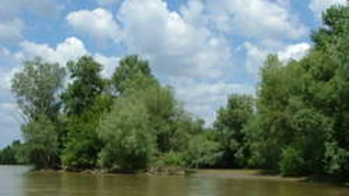 Gyepmester húzta ki a halál torkából a makói férfit