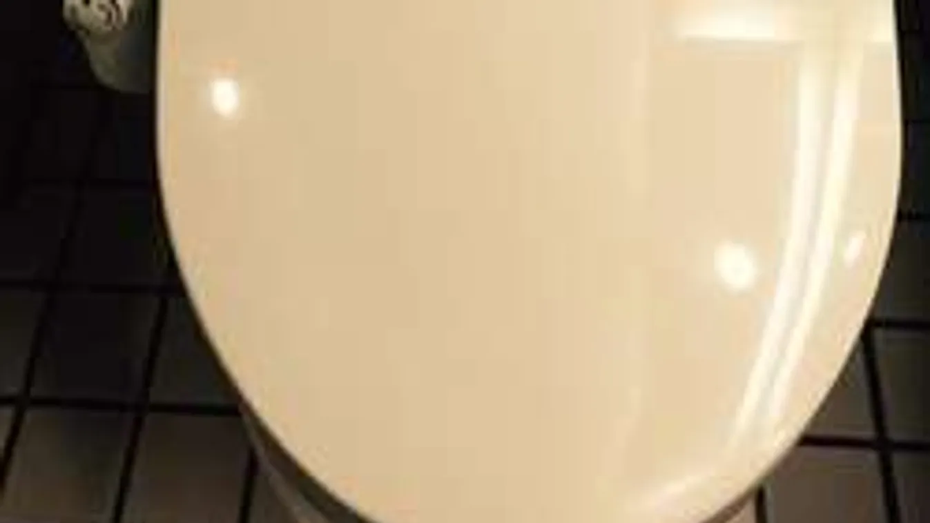 Szórj sót a vécébe, és leesik az állad!