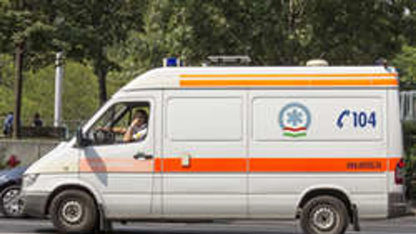 A 8-as út mentén szült a fiatal kismama!