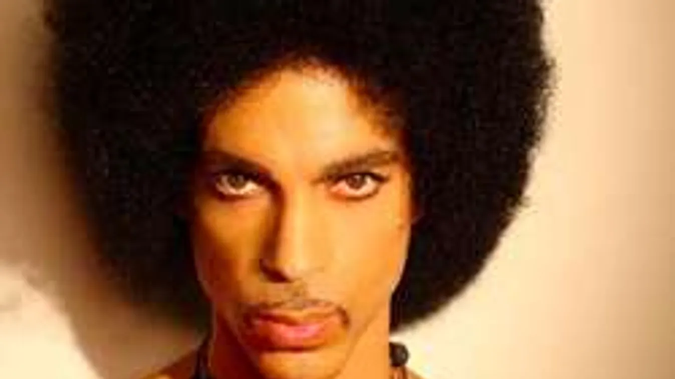 Állítólag ez a halálos betegség végzett Prince-szel