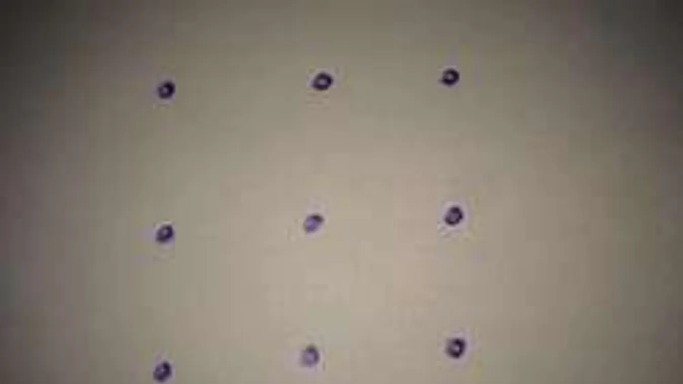 Íme, a 9 pont problémája: Ezt csak a legkreatívabbak tudják megoldani!