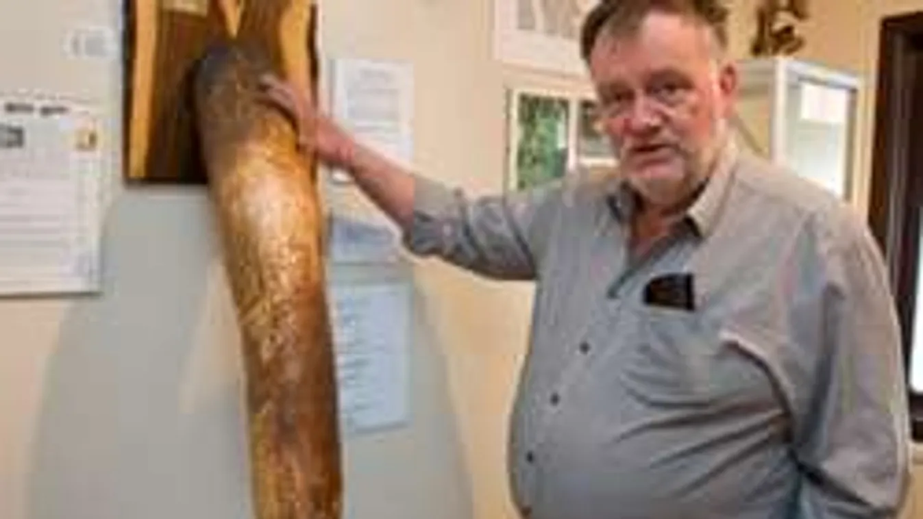 Ennyi hímvesszőt egy helyen még sosem láttál!