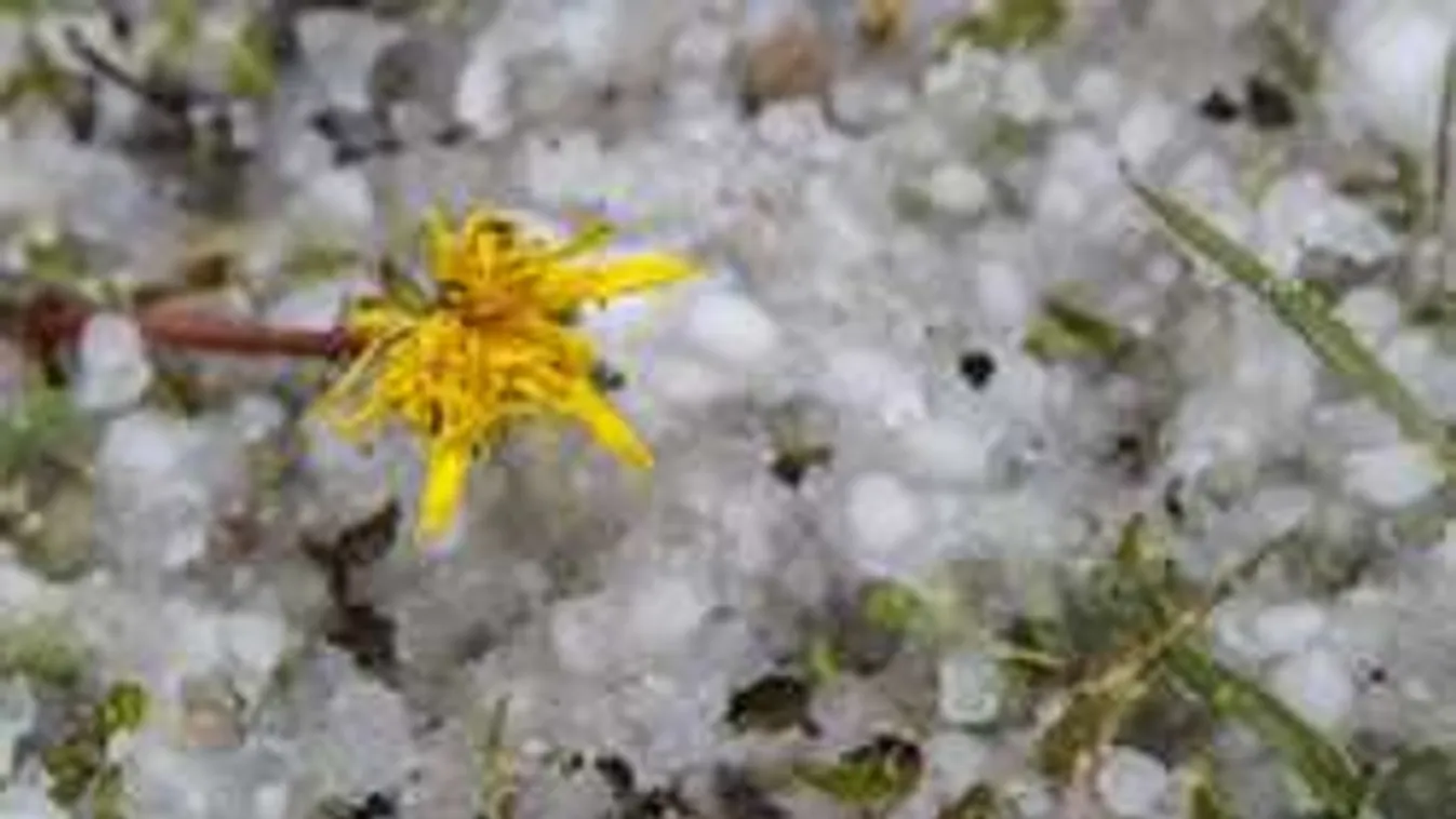 Jégdarát és mínuszokat is jósolnak a meteorológusok szerdára!