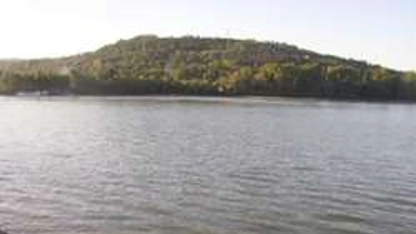 Szívbénulás okozhatta a Dunába fúlt fiatal halálát