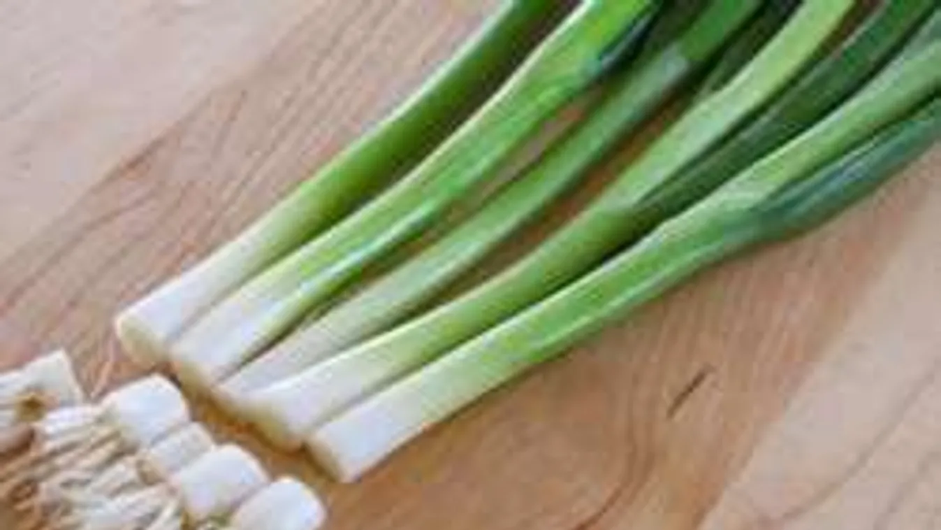 Soha ne dobd el az újhagyma végét! Hihetetlen, mi lesz belőle!