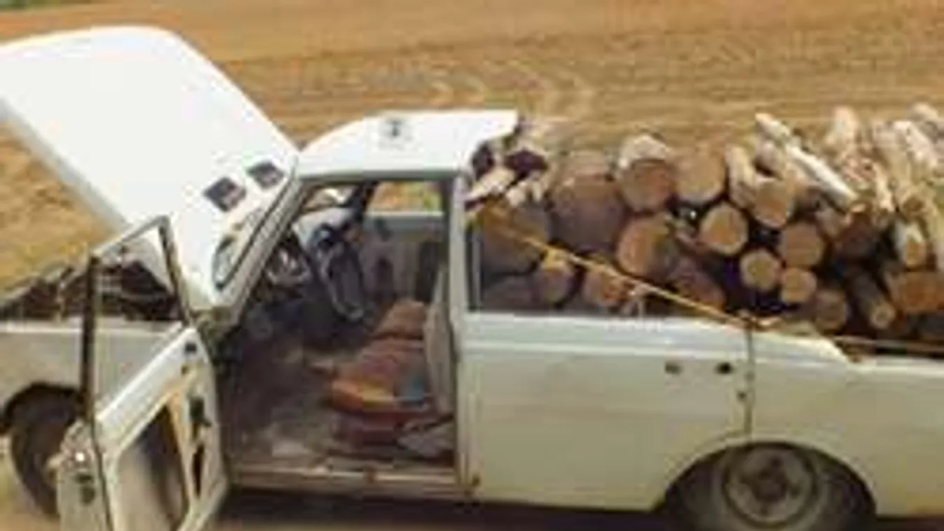 Ennél pofátlanabbul már nem is lehet fát lopni! - Fotók