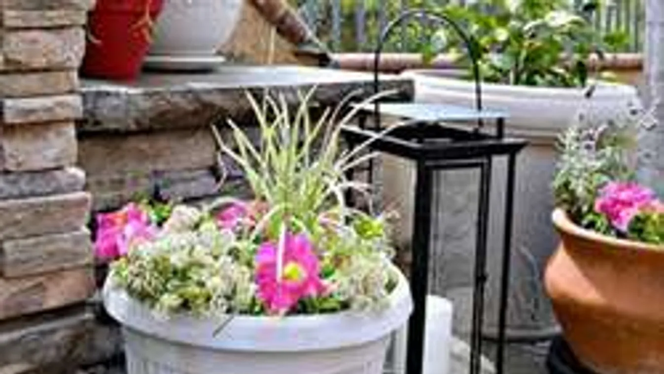 7 elképesztő jó ötlet! Így rendezd be olcsó cserepekkel az erkélyedet