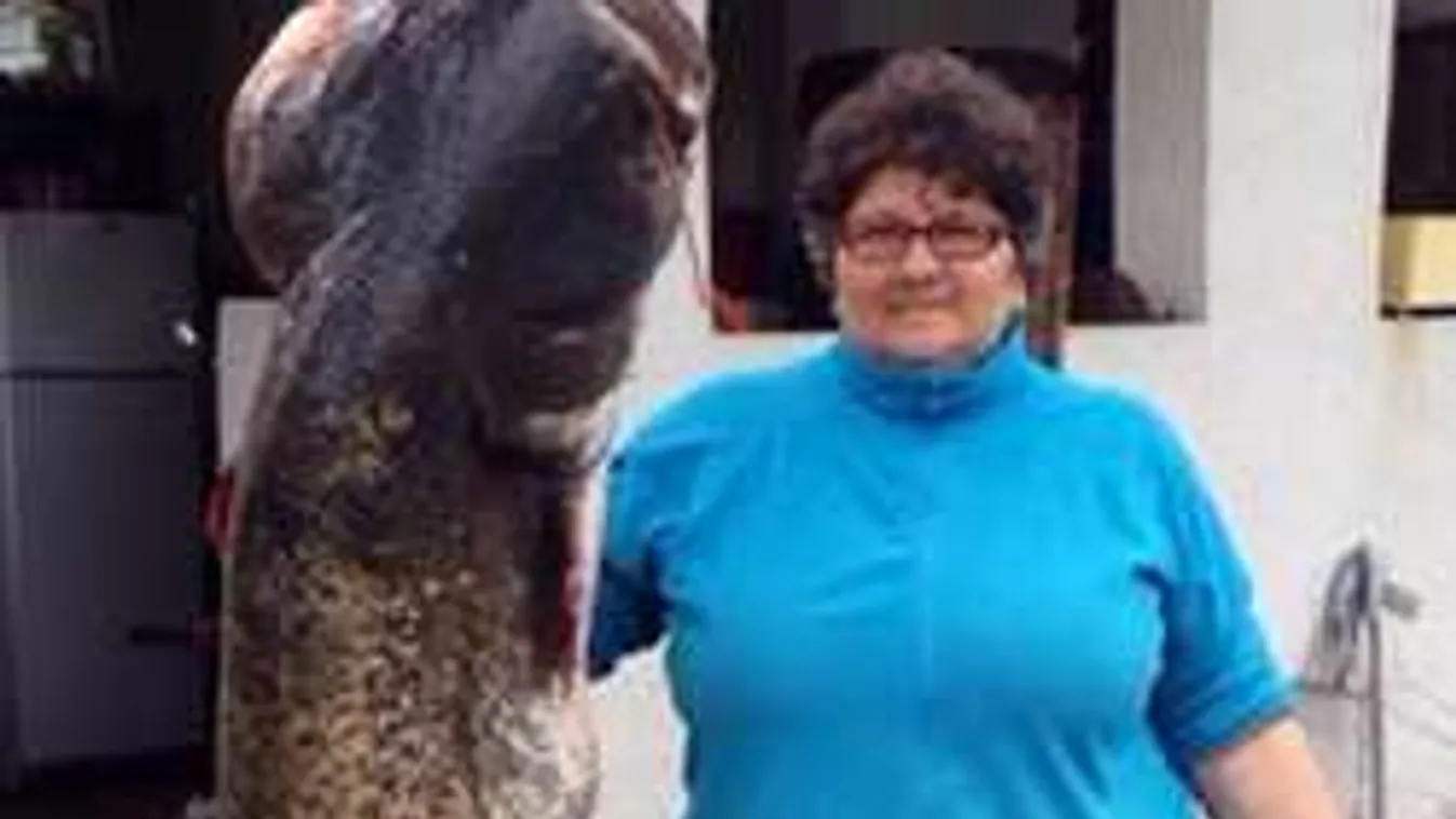 50 kilós halszörnyet fogott a Tiszán a miskolci szupernagyi! - fotó