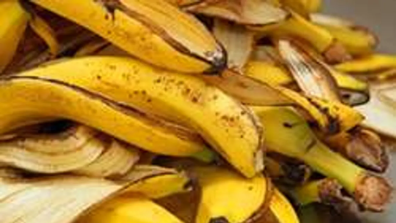 Kertészkedj banánnal! Csodát tesz a növényekkel!