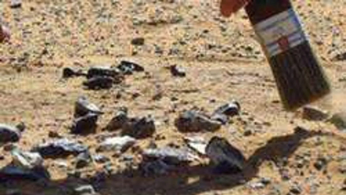 Brutális tömeggyilkosság nyomaira bukkantak Kiskunmajsán