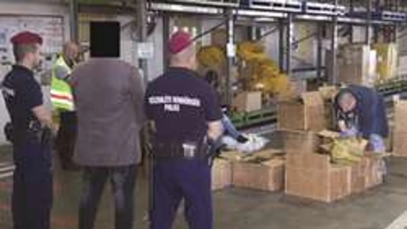 Gyanús csomagok: Egy tonna trükkös teát foglaltak le Ferihegyen!-fotók