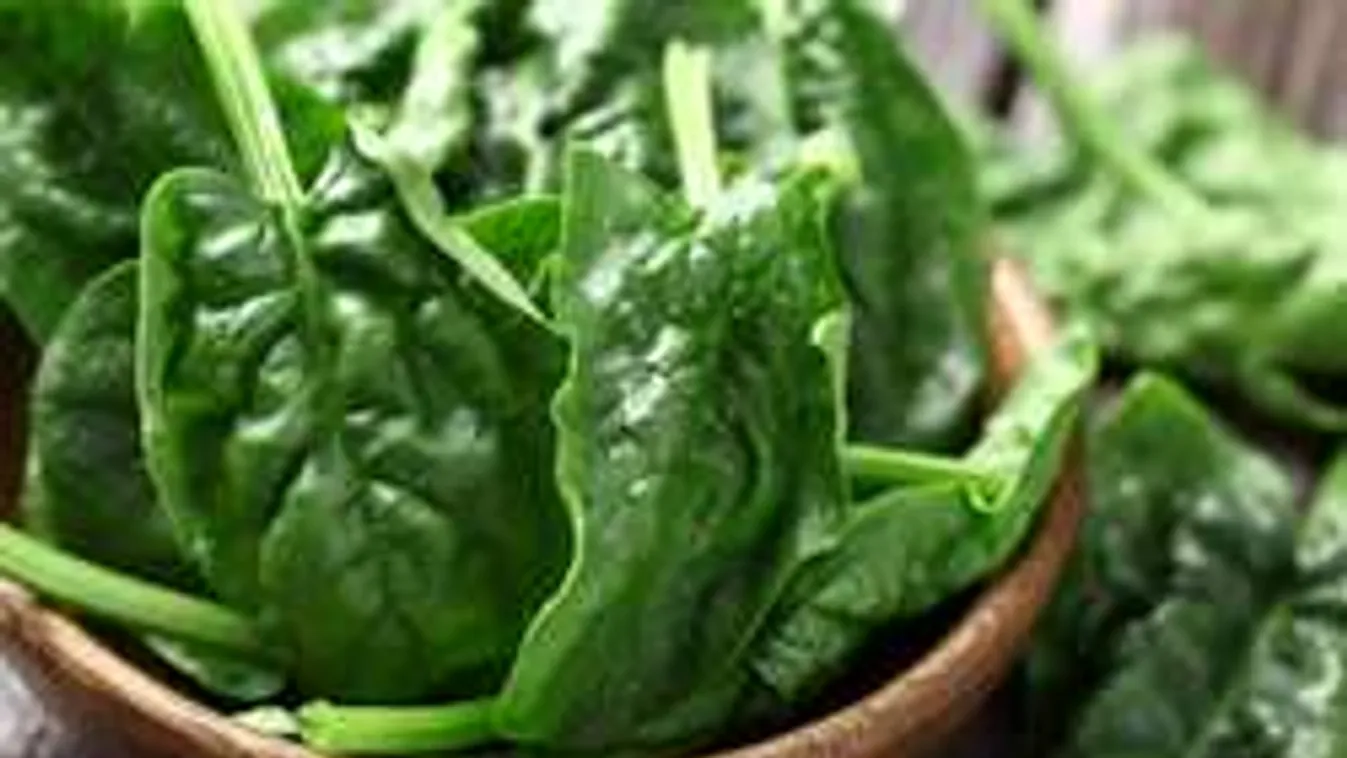 Vigyázat veszélyes! Sose edd így a spenótot, mert mérgező lehet!