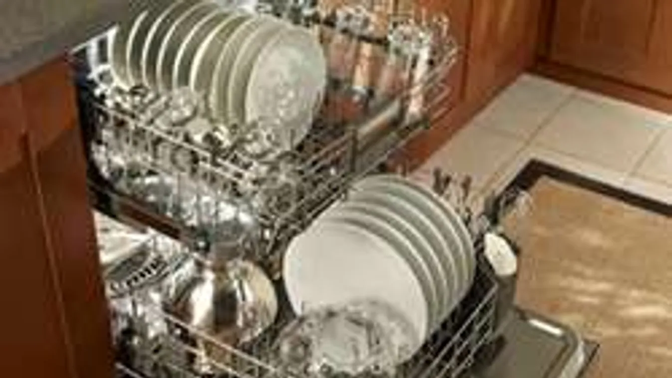 Nem hiszed el, hová menekült a szökevény a rendőrök elől!