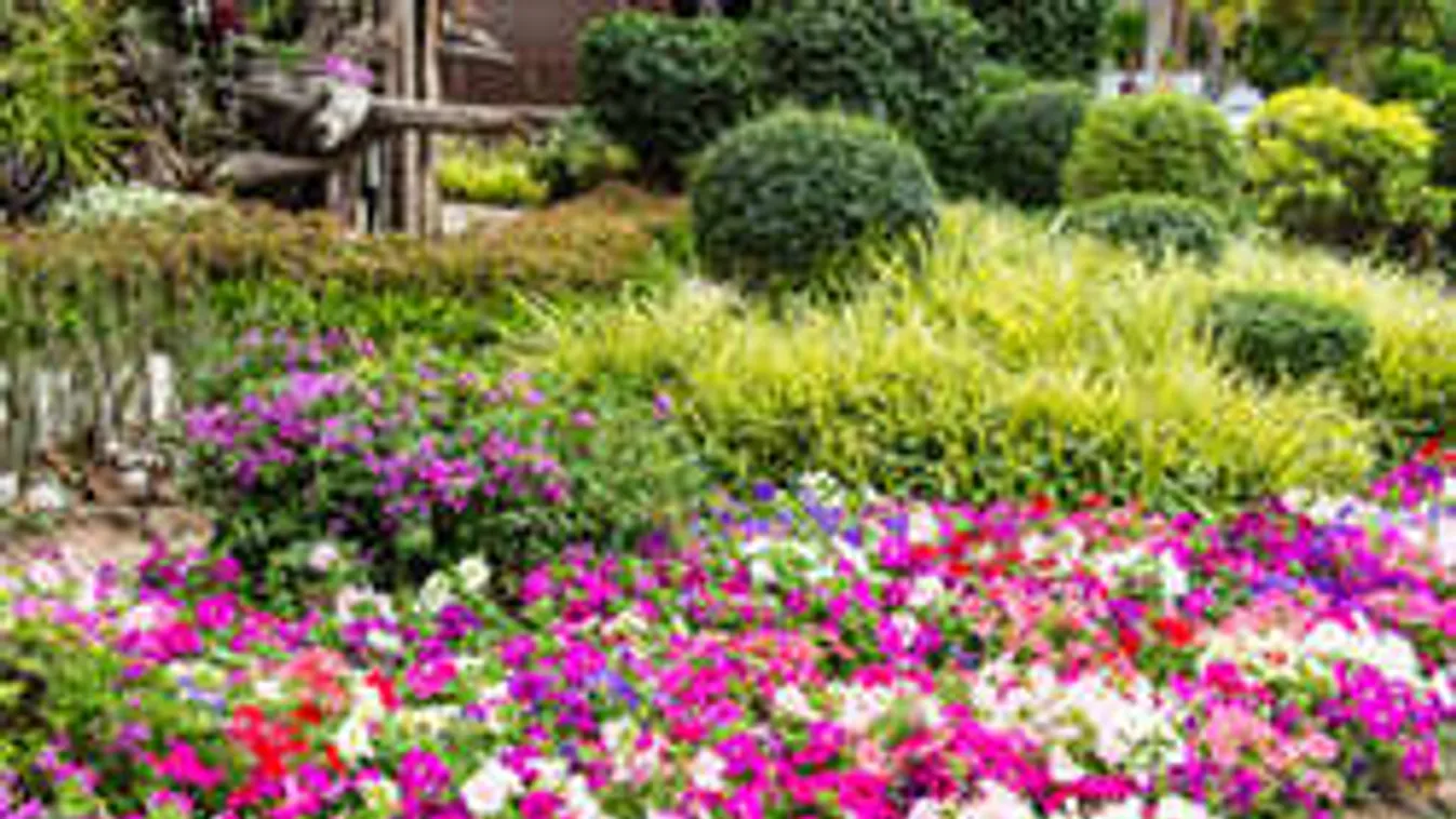 Kertészkedj fahéjjal! Meghálálják a növényeid