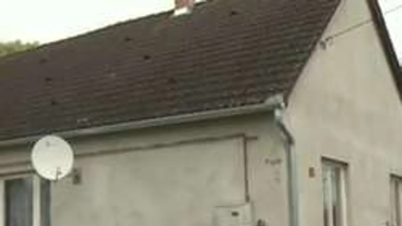 Összefogtak a jó érzésű magyarok - megmenekültek az éhező árvák!