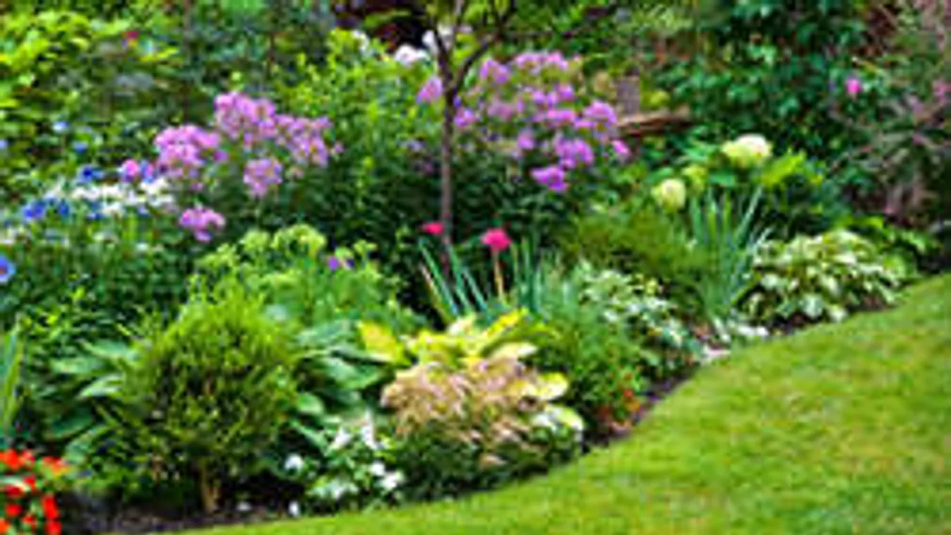 Szórj őrölt borsot a kertedbe, és elámulsz!