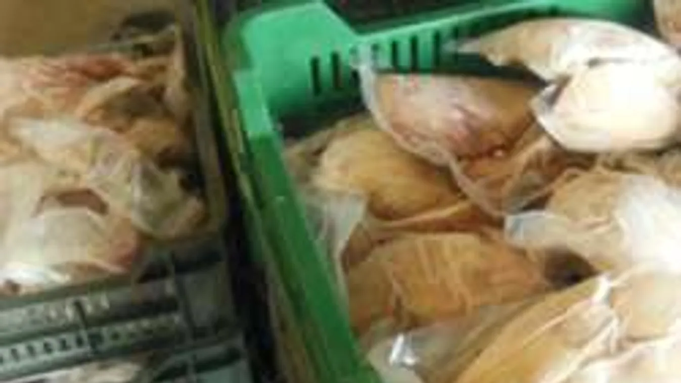 Több tonna nagyon undorító élelmiszert foglalt le a NÉBIH