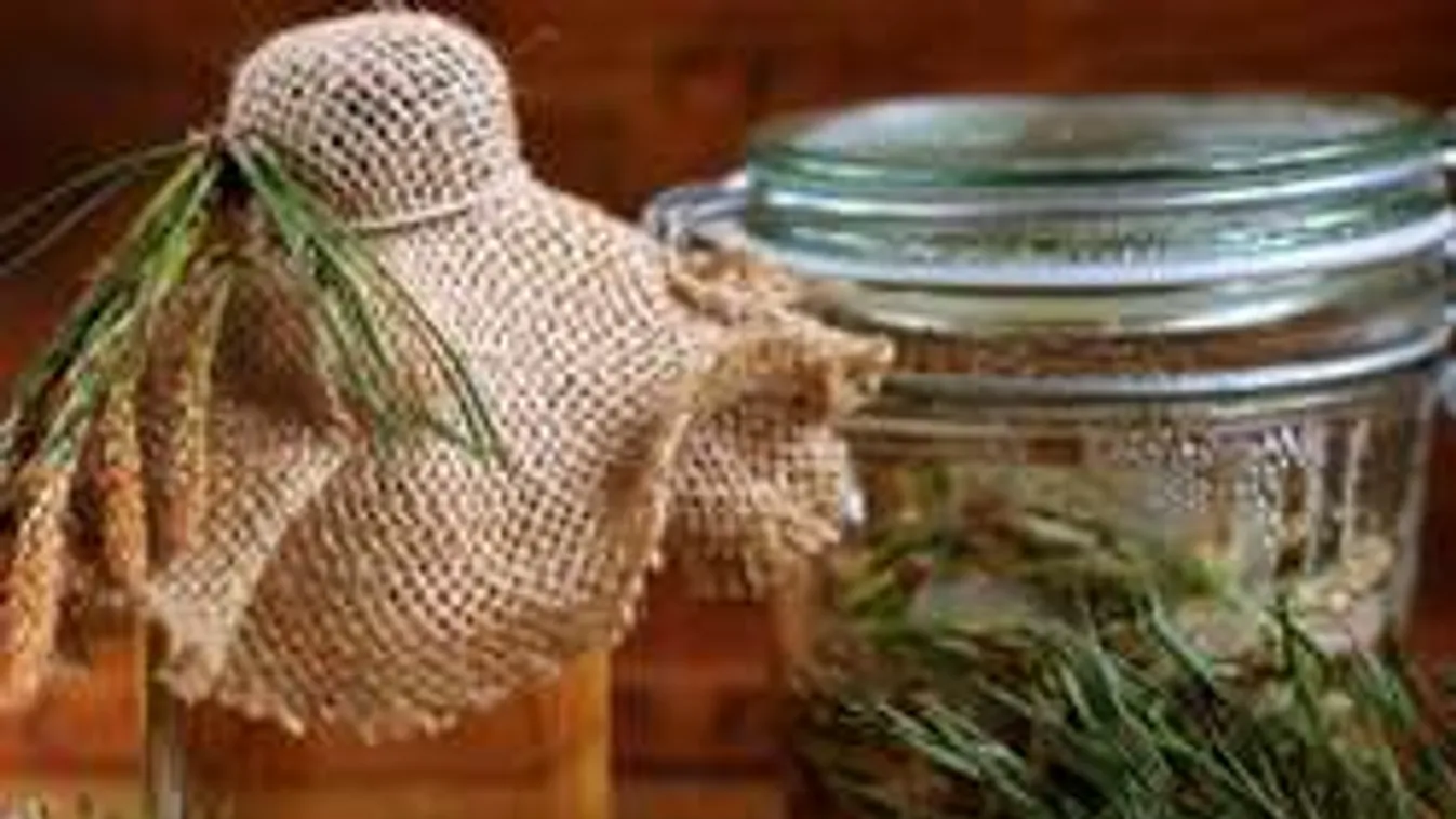 Ne kapkodj a bodzaszörppel! Jobbat mutatunk!