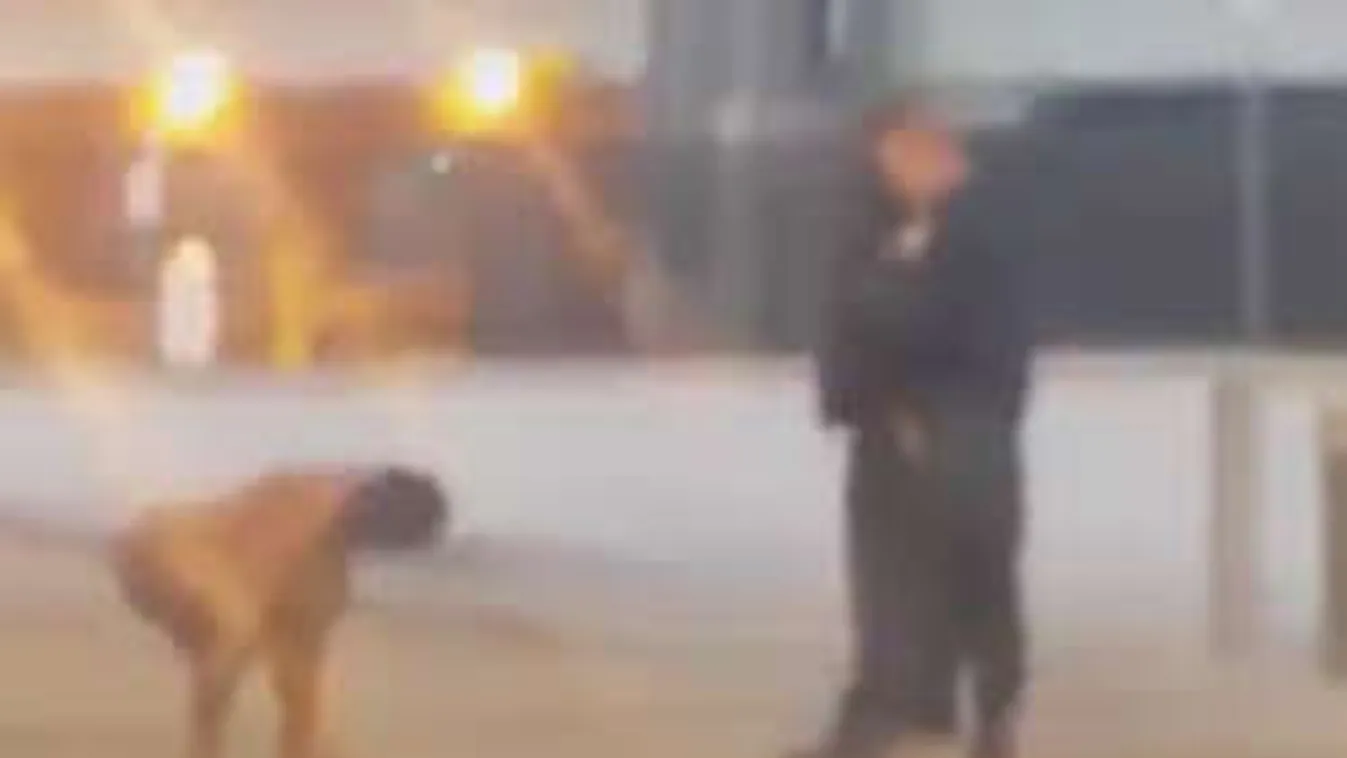 A rendőrök sem bírtak elbánni a pucér nővel! Videó 18+