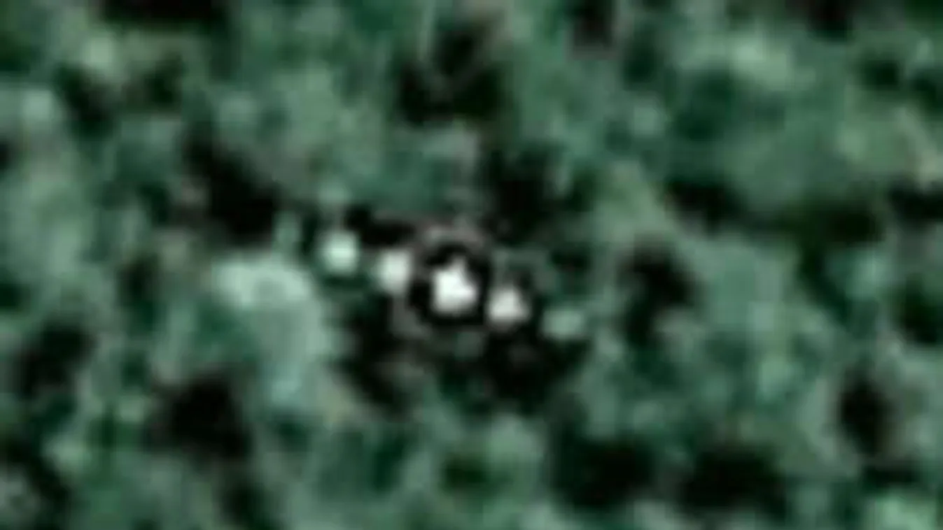 Hatalmas ufó anyahajóra bukkantak az Amazonas őserdejében