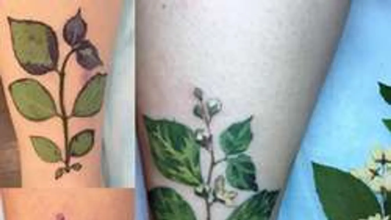 A fantasy tetoválás már a múlté, most mindenki ilyet akar!