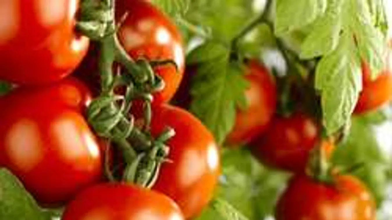 Nem hiszed el, mit művel a szódabikarbóna a paradicsommal!