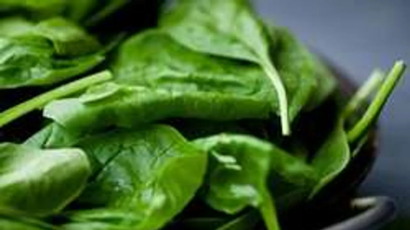 Így nevelj spenótot cserépben!