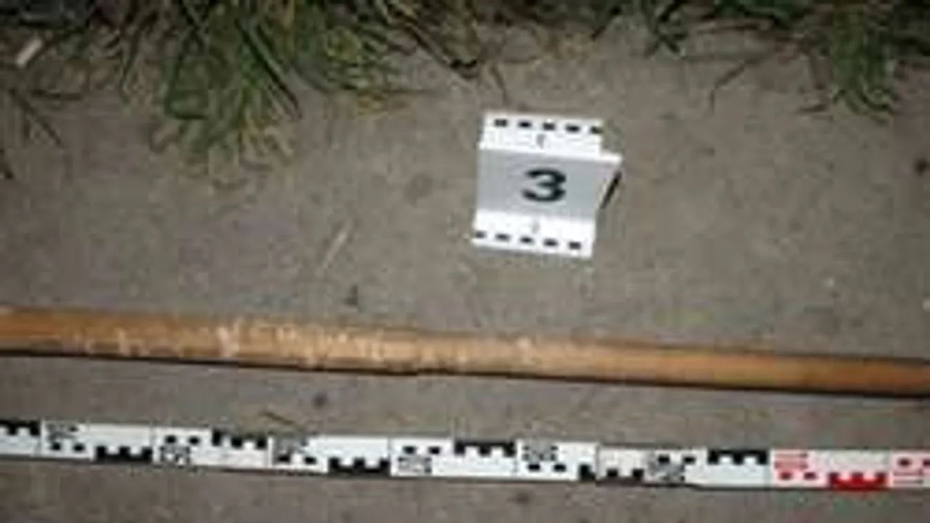 Kilencfős banda rohant le álmában egy nógrádi családot!