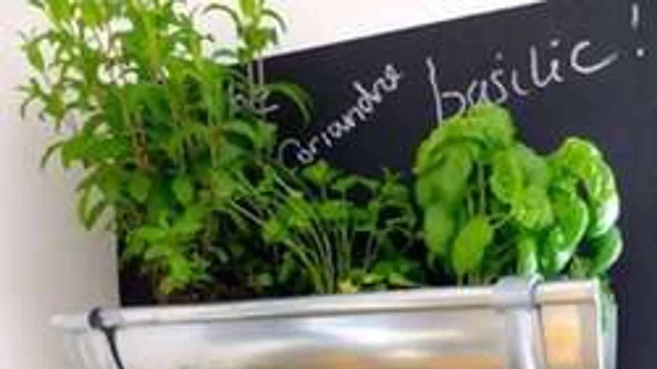 Készíts zöldséges kertet a teraszodon