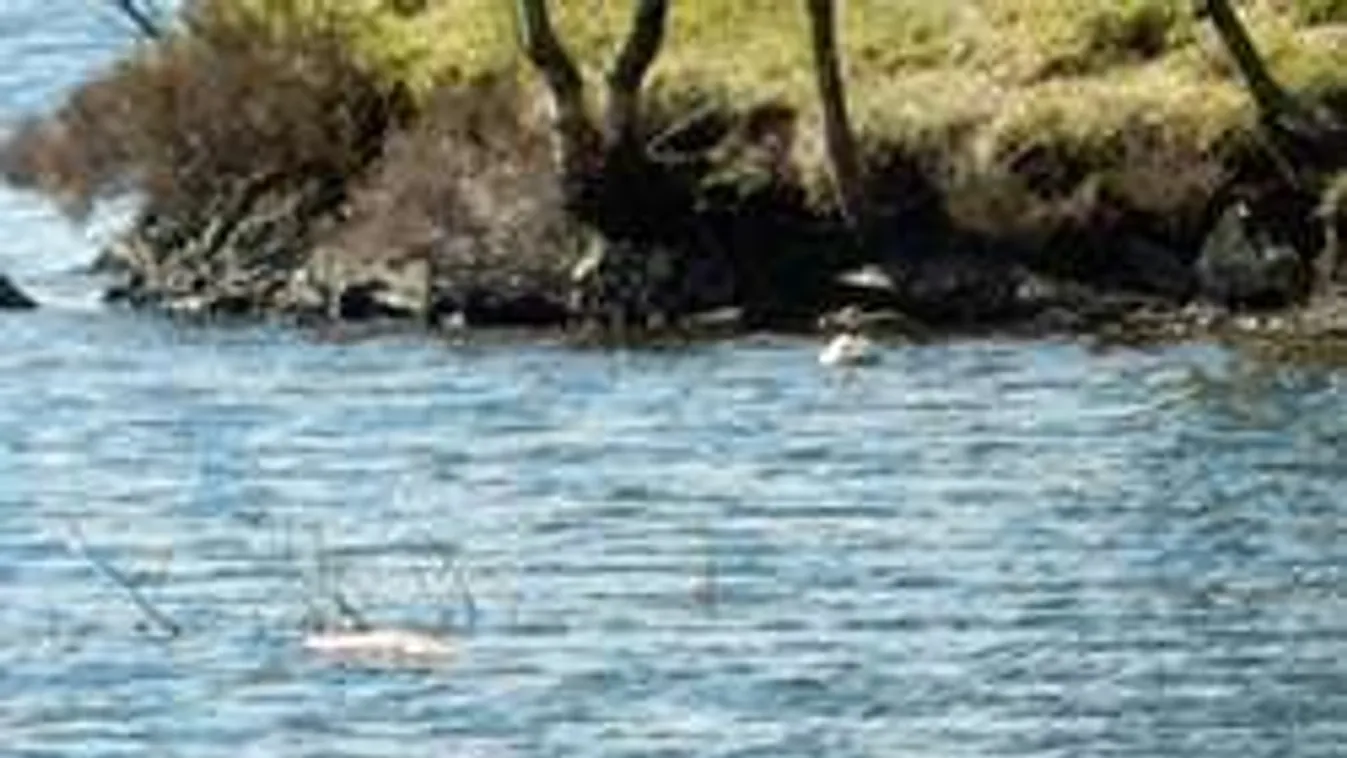 Olyat fedezett fel saját fotóján, hogy azonnal a rendőrséget hívta!