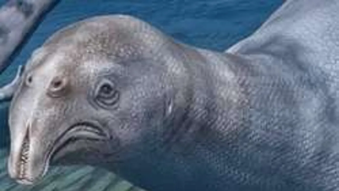 Növényevő krokodil maradványaira bukkantak a kutatók!