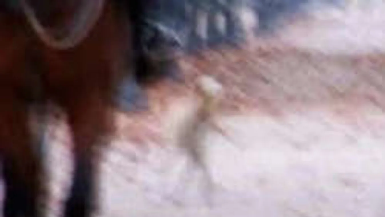 Földönkívüli lény sétált az utcán fényes nappal!