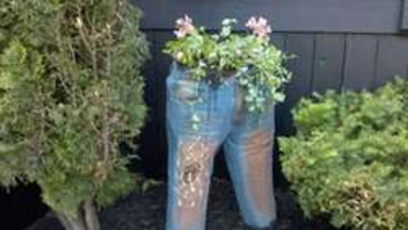 Még a farmerodból is virágok nőhetnek! Képtelen ötletek virágültetéshez