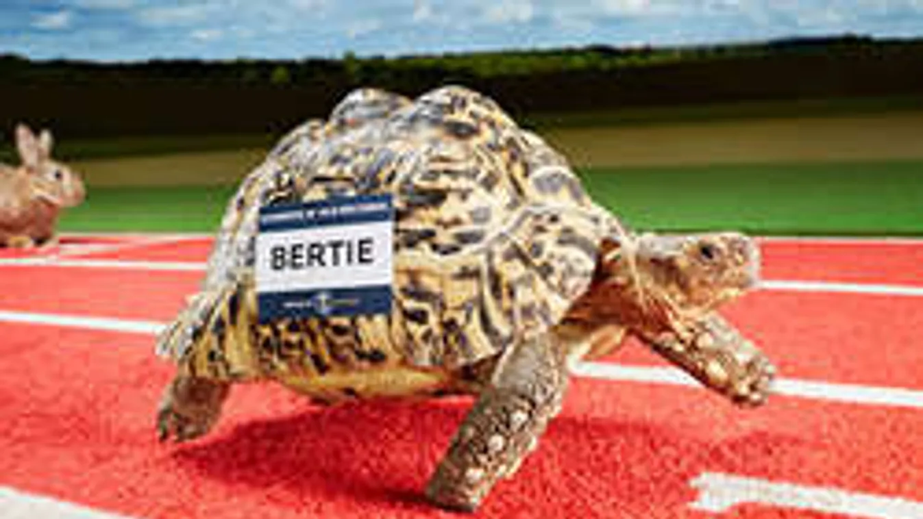 Reggel úgy keltél fel, hogy fogalmad sem volt a mai napról! Megőrülsz!