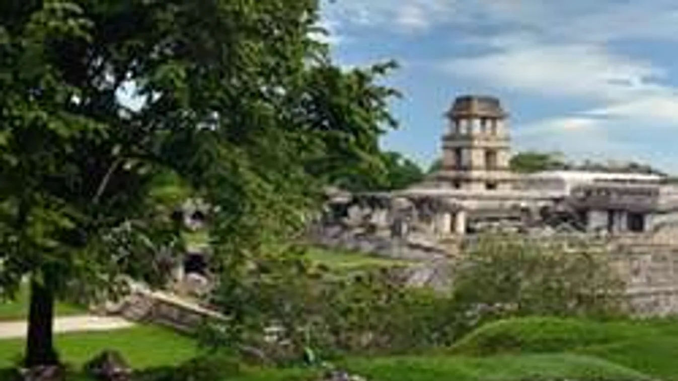 Elveszett maja várost fedezett fel Közép-Amerikában egy 15 éves fiú