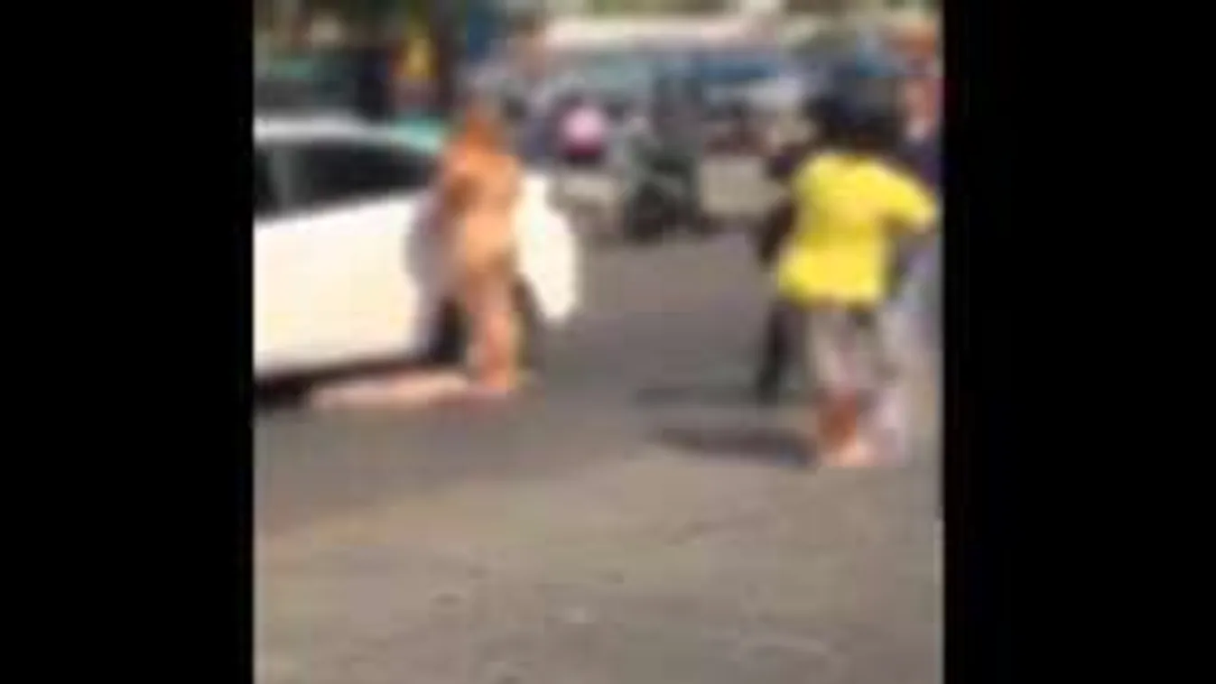 A meztelen női sofőr tök részegen okozott balesetet! Súlyos videó! 18+