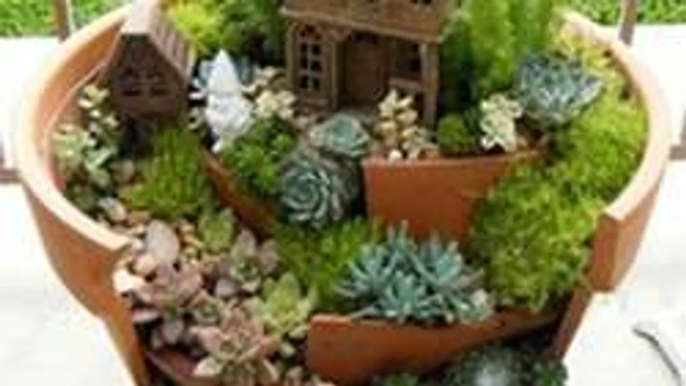 Így készíthetsz gyönyörű sziklakertet kert nélkül