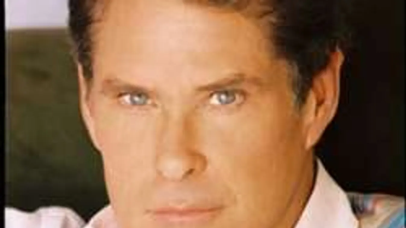 David Hasselhoff trükközni próbált a tartásdíjjal! Lebukott!