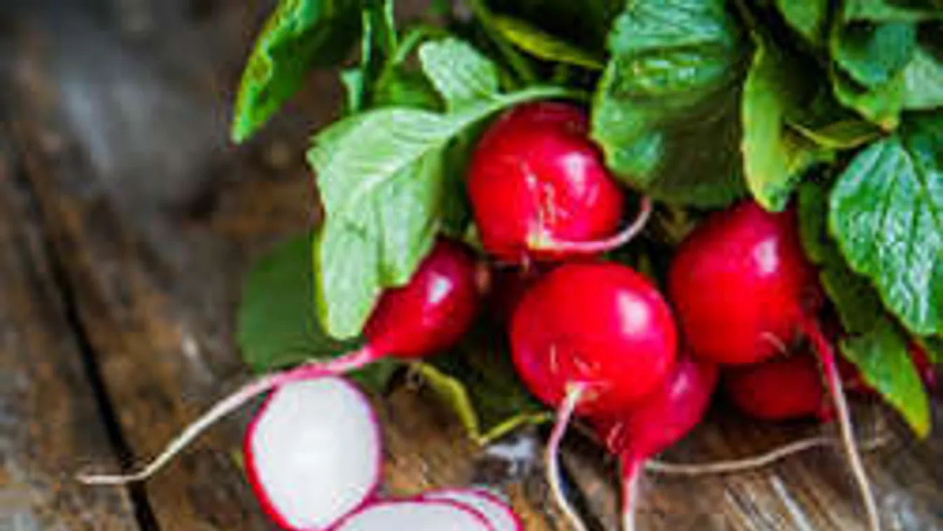 Most figyelj: tavasszal nagyot üt a kis piros retek