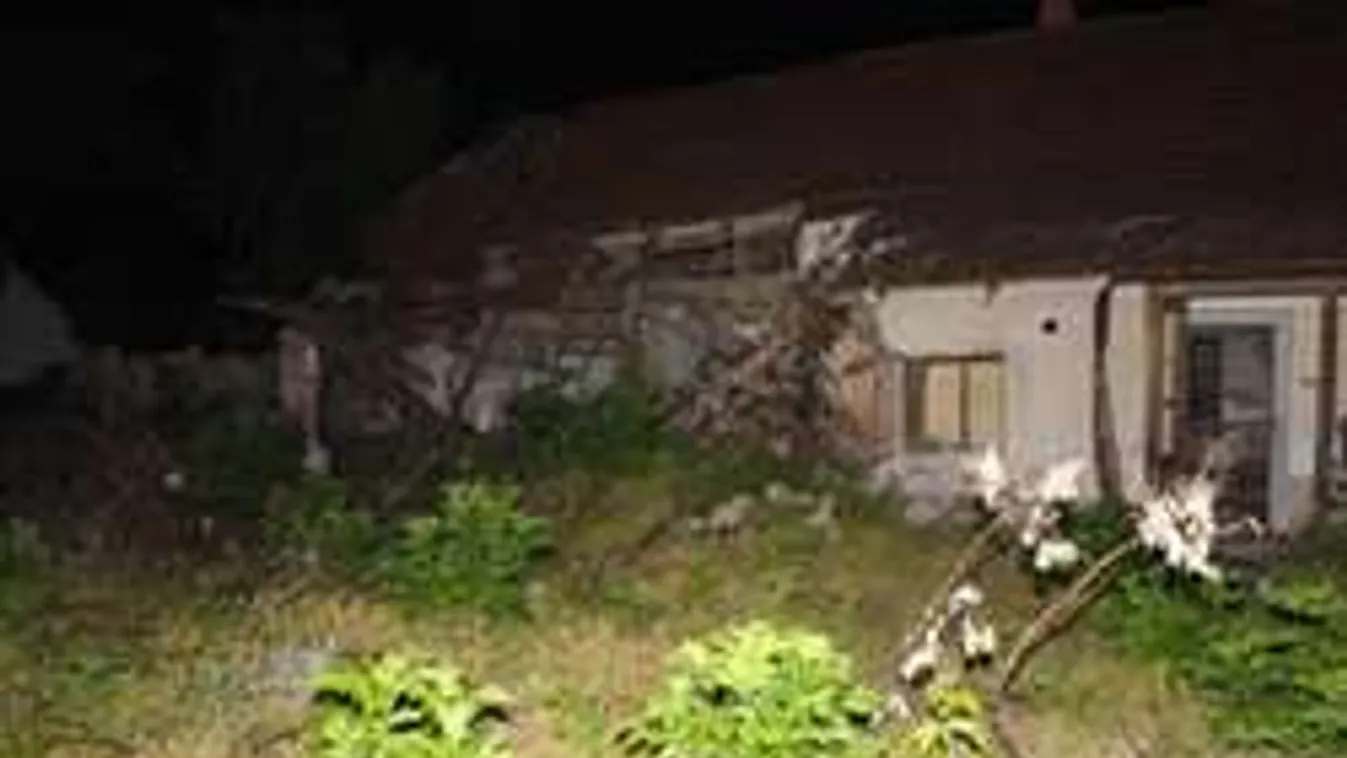 Így gyilkoltak a fiatalok: Újabb részletek az izraeli férfi megöléséről!