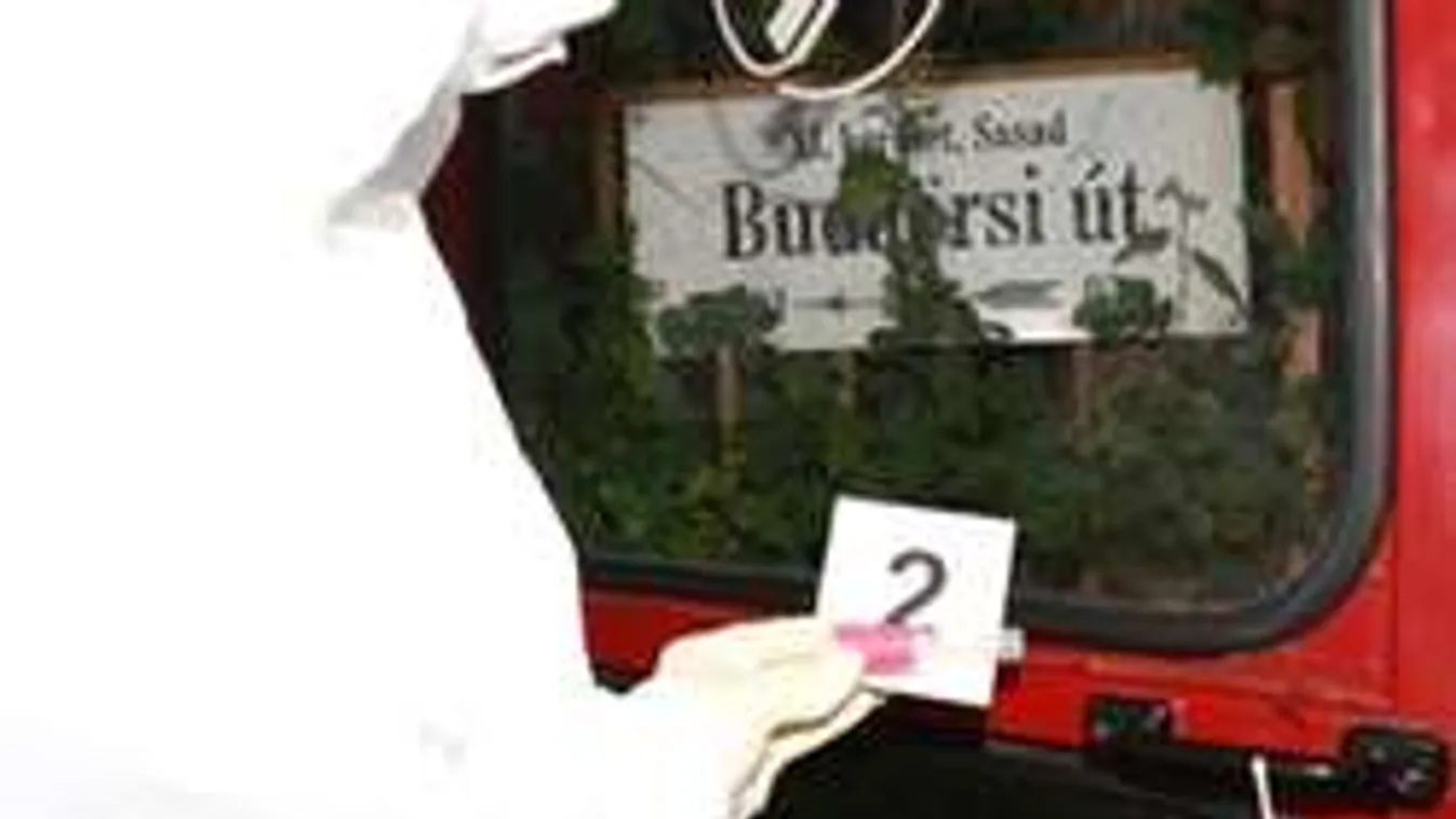 42 nyaralót gyújtott fel Budaörsön szerelmi bánatában a 22 éves fiú