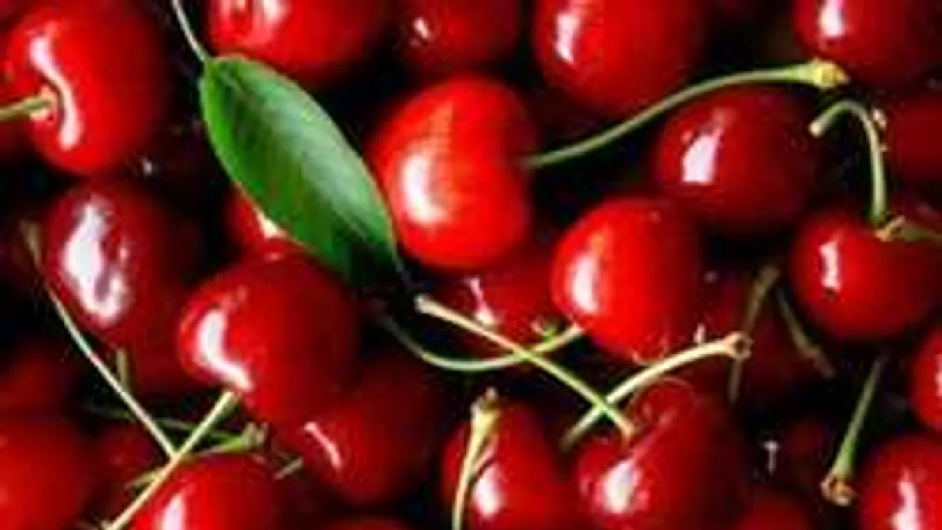 Most már biztos: ez a gyümölcslé csökkenti a magas vérnyomást