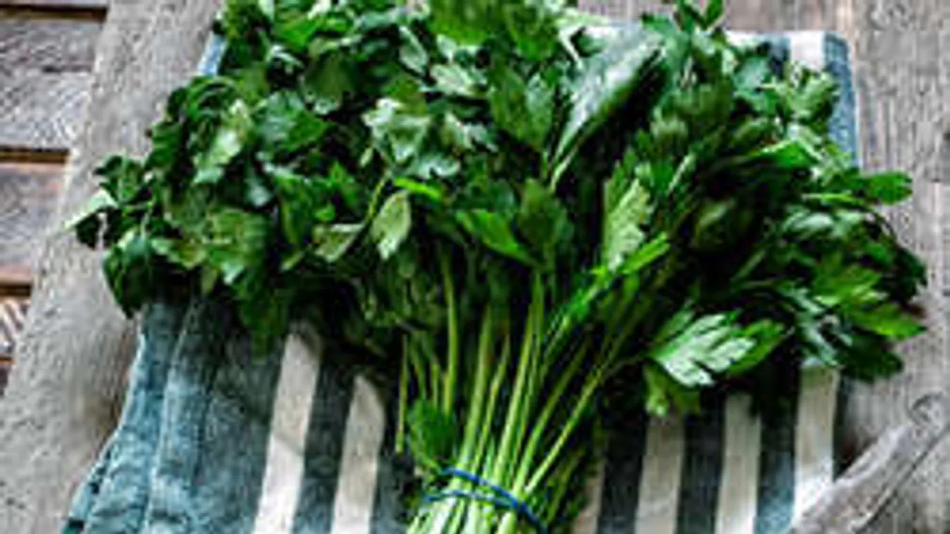 Lerobbantja rólad az úszógumit ez a közönséges zöldfűszer