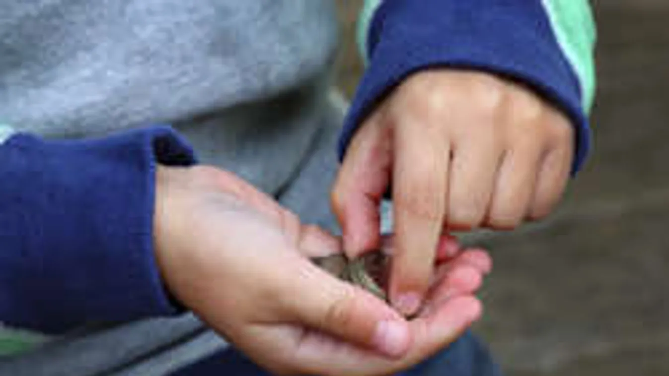 Idős embereket csap be egy pofátlan kaposvári nő...