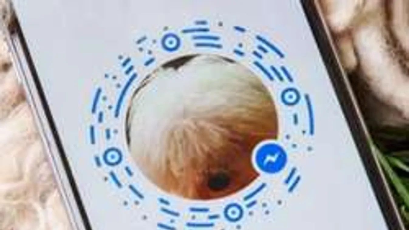 Facebook-forradalom: Név nélkül is ismerősnek jelölheted a kiszemelted!