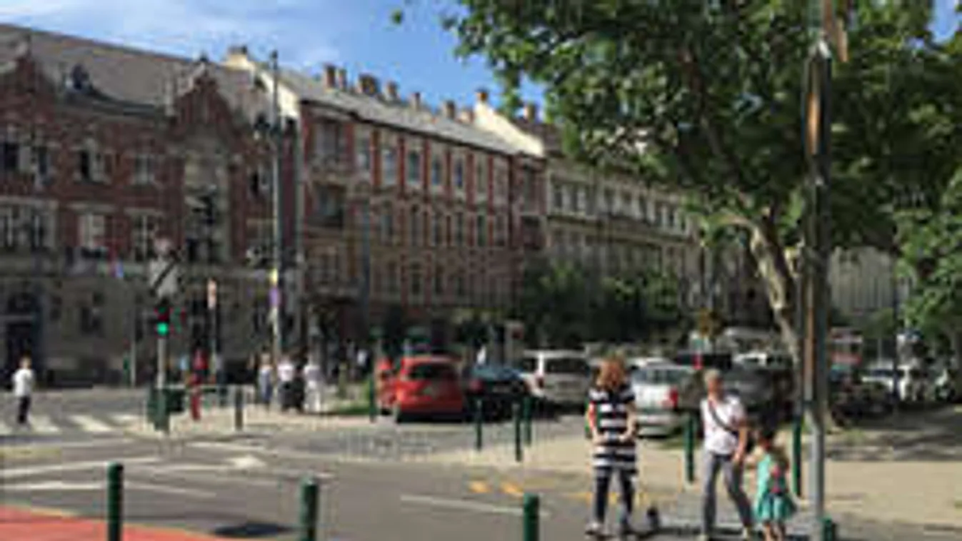 Életveszélyes gerillazebra veri át a gyalogosokat Budapesten! - Fotó