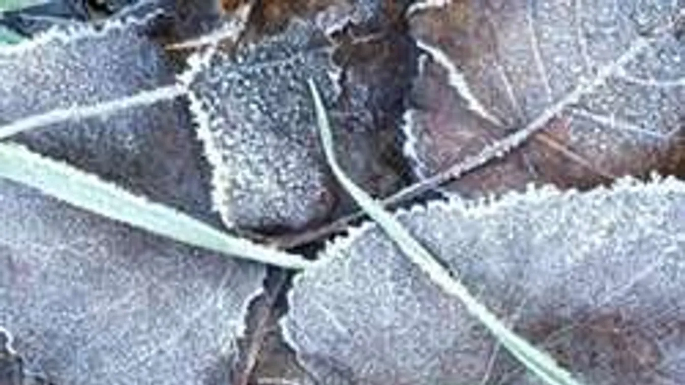 Hihetetlen: továbbra is fagyra kell számítanunk!