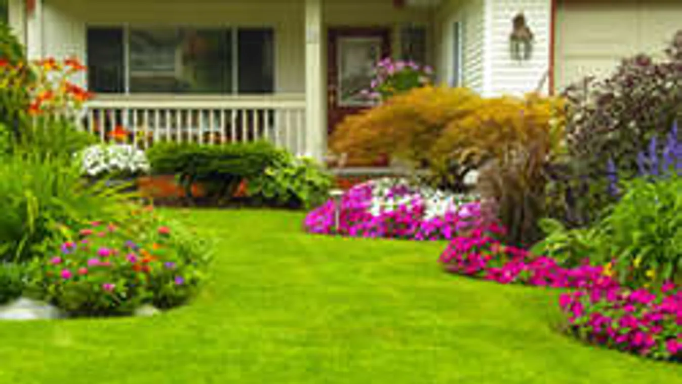 Locsolj teával, és csodás lesz a kerted!